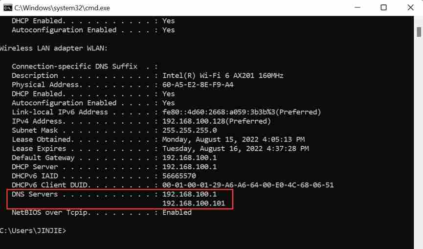 Use command to view DNS address