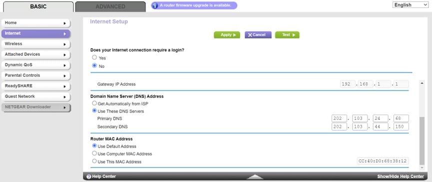 Set the DNS address on the router side