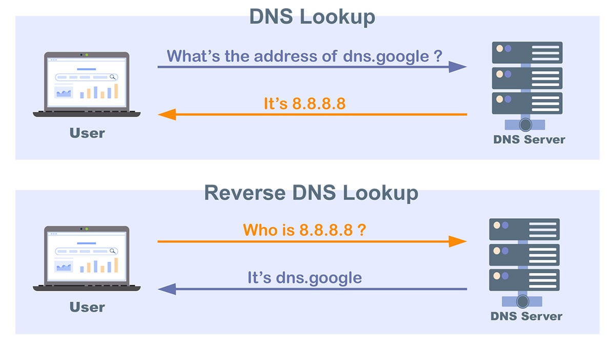 DNS Resolution and Reversed DNS Resolution