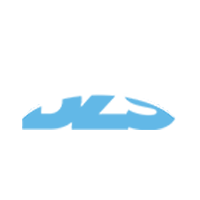 DZS