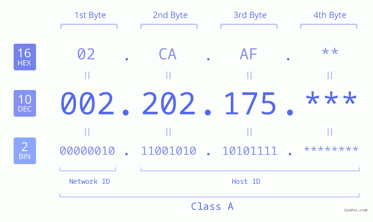 IP Address: 002.202.175 Data Structure Chart BIN DEC HEX IPv4: 002.202.175 Network Class, Net ID, Host ID