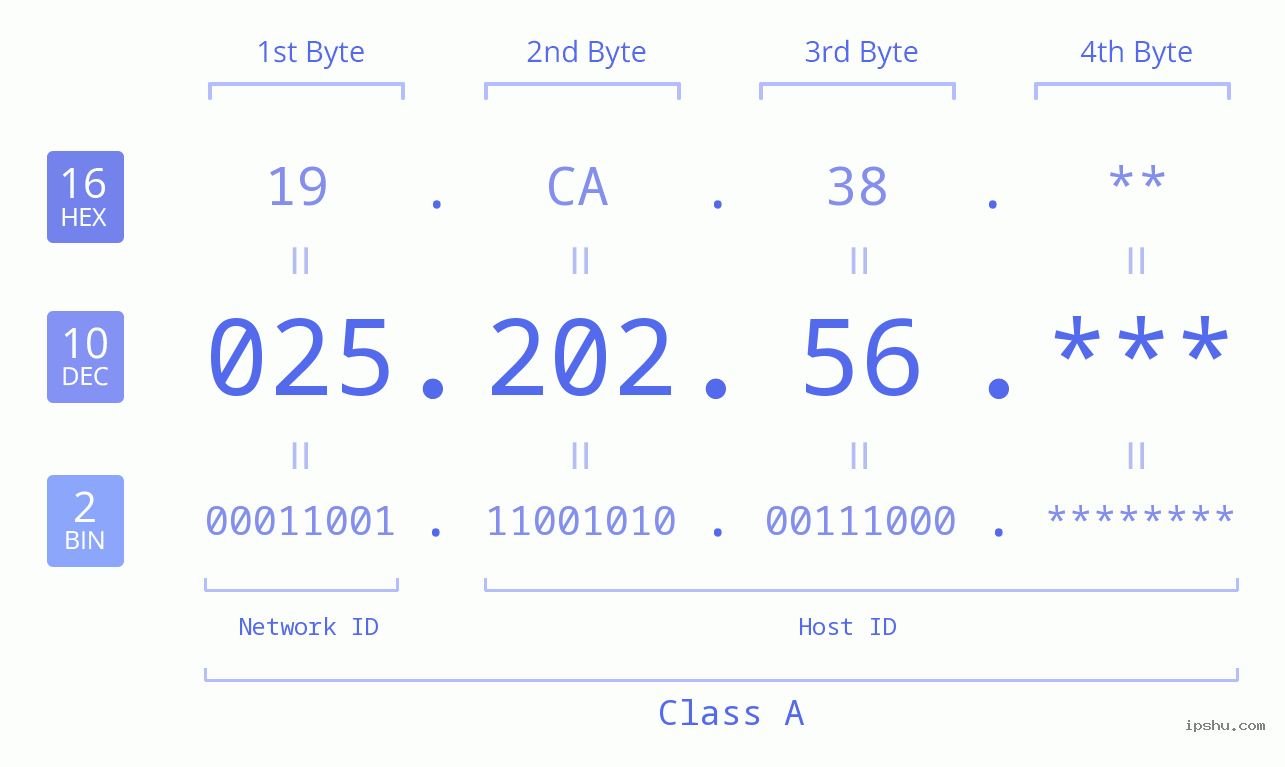 IP Address: 025.202.56 Data Structure Chart BIN DEC HEX IPv4: 025.202.56 Network Class, Net ID, Host ID
