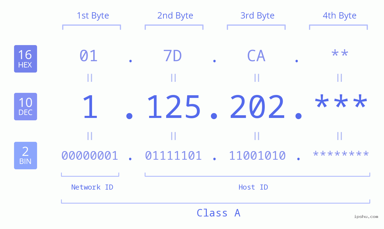 IP Address: 1.125.202 Data Structure Chart BIN DEC HEX IPv4: 1.125.202 Network Class, Net ID, Host ID
