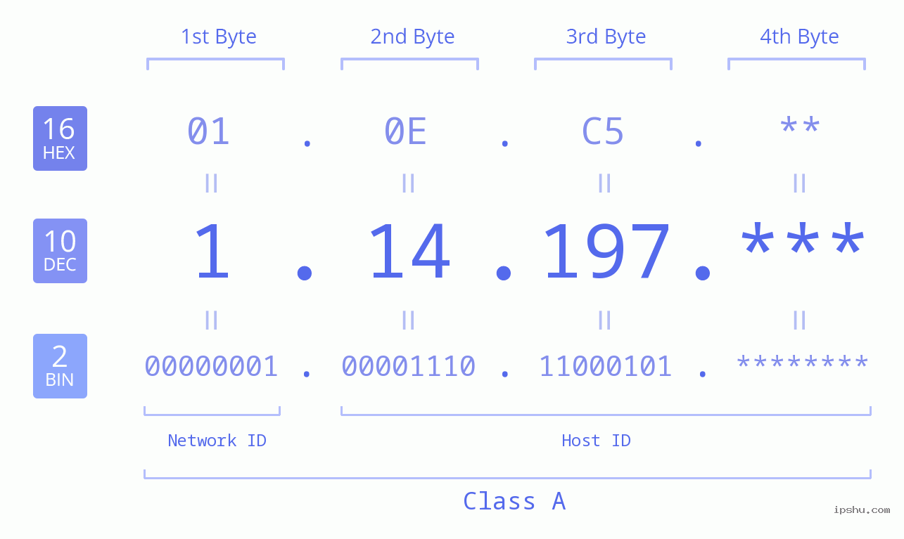 IP Address: 1.14.197 Data Structure Chart BIN DEC HEX IPv4: 1.14.197 Network Class, Net ID, Host ID