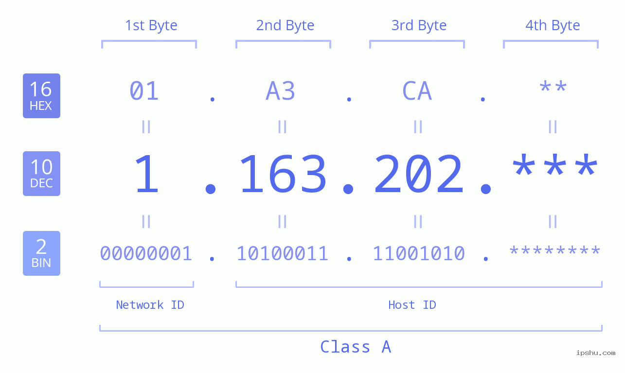 IP Address: 1.163.202 Data Structure Chart BIN DEC HEX IPv4: 1.163.202 Network Class, Net ID, Host ID