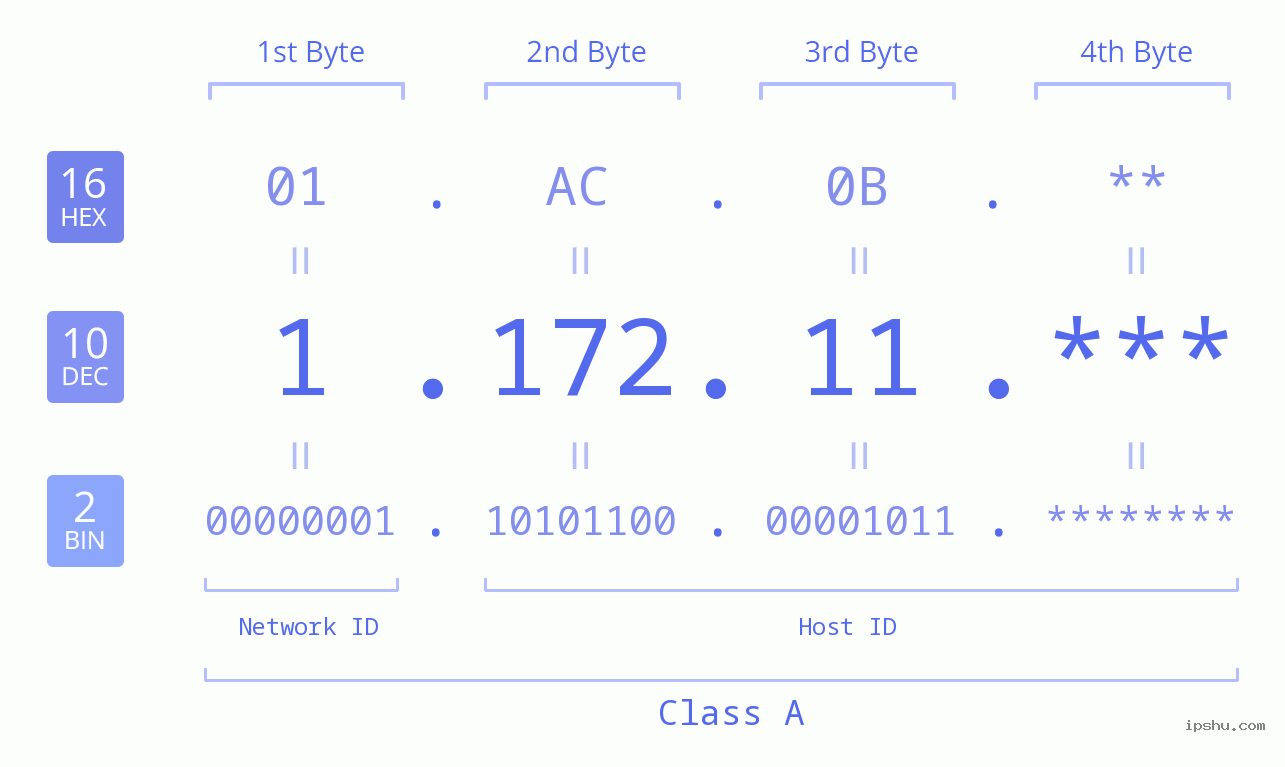 IP Address: 1.172.11 Data Structure Chart BIN DEC HEX IPv4: 1.172.11 Network Class, Net ID, Host ID