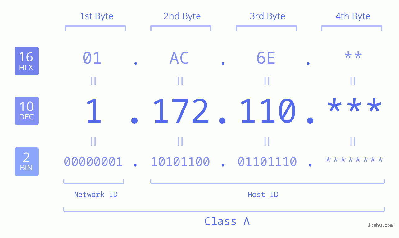 IP Address: 1.172.110 Data Structure Chart BIN DEC HEX IPv4: 1.172.110 Network Class, Net ID, Host ID