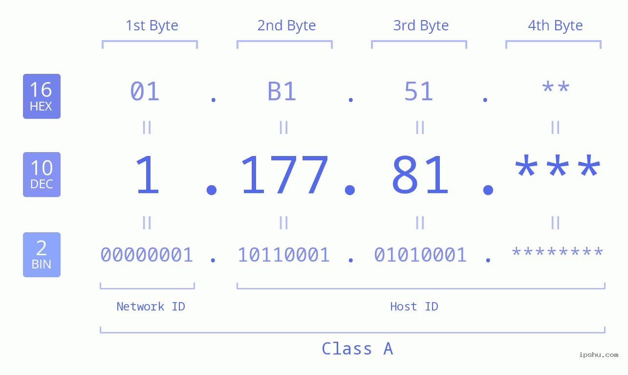 IP Address: 1.177.81 Data Structure Chart BIN DEC HEX IPv4: 1.177.81 Network Class, Net ID, Host ID