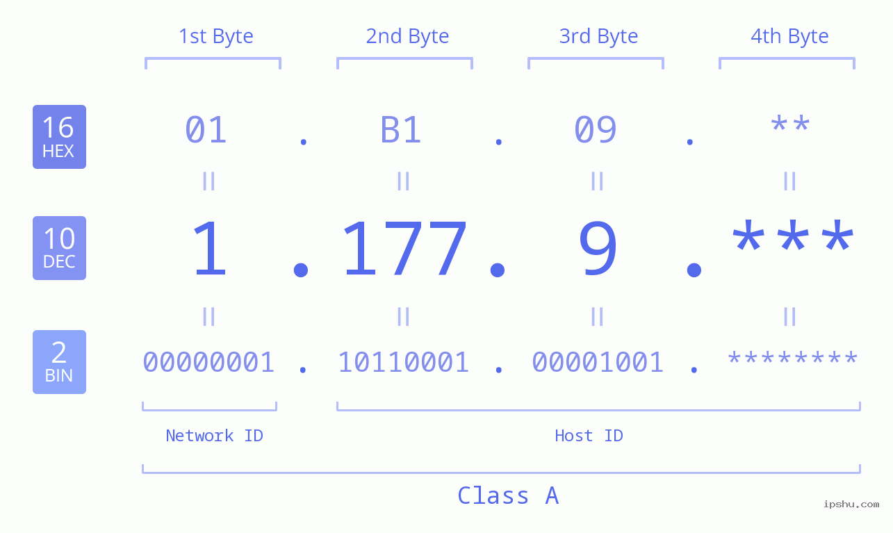 IP Address: 1.177.9 Data Structure Chart BIN DEC HEX IPv4: 1.177.9 Network Class, Net ID, Host ID