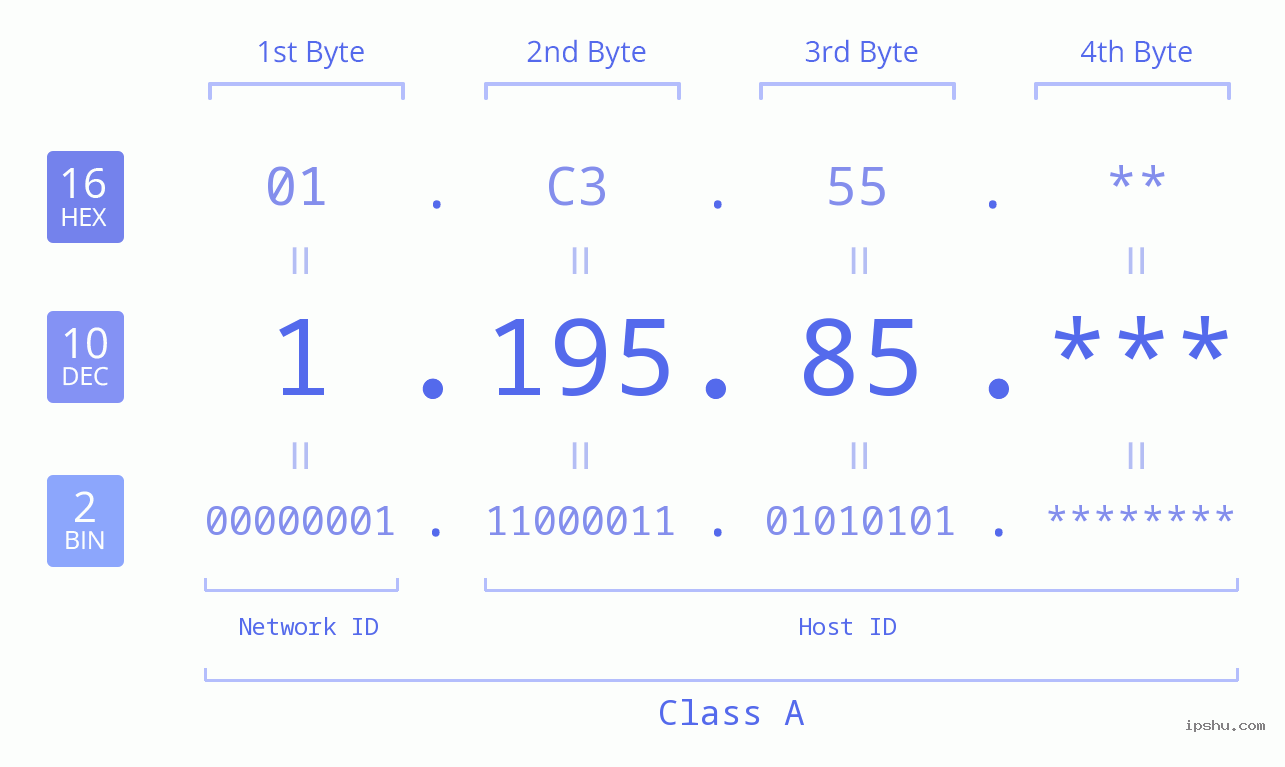 IP Address: 1.195.85 Data Structure Chart BIN DEC HEX IPv4: 1.195.85 Network Class, Net ID, Host ID