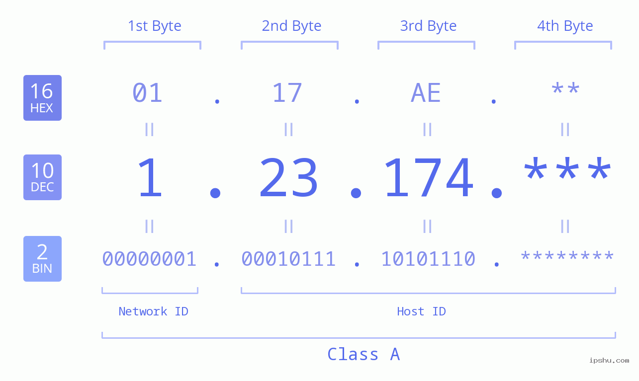 IP Address: 1.23.174 Data Structure Chart BIN DEC HEX IPv4: 1.23.174 Network Class, Net ID, Host ID
