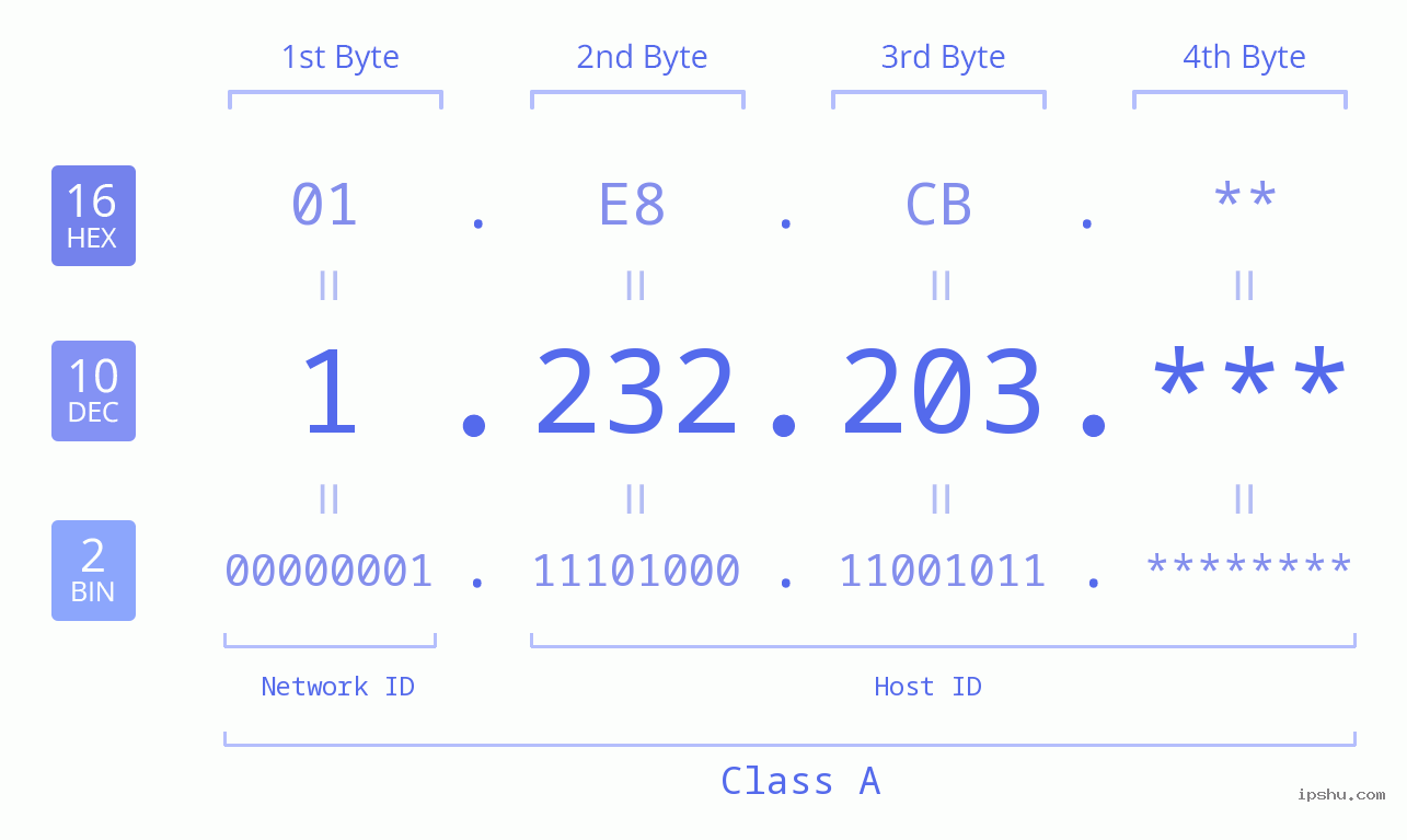 IP Address: 1.232.203 Data Structure Chart BIN DEC HEX IPv4: 1.232.203 Network Class, Net ID, Host ID