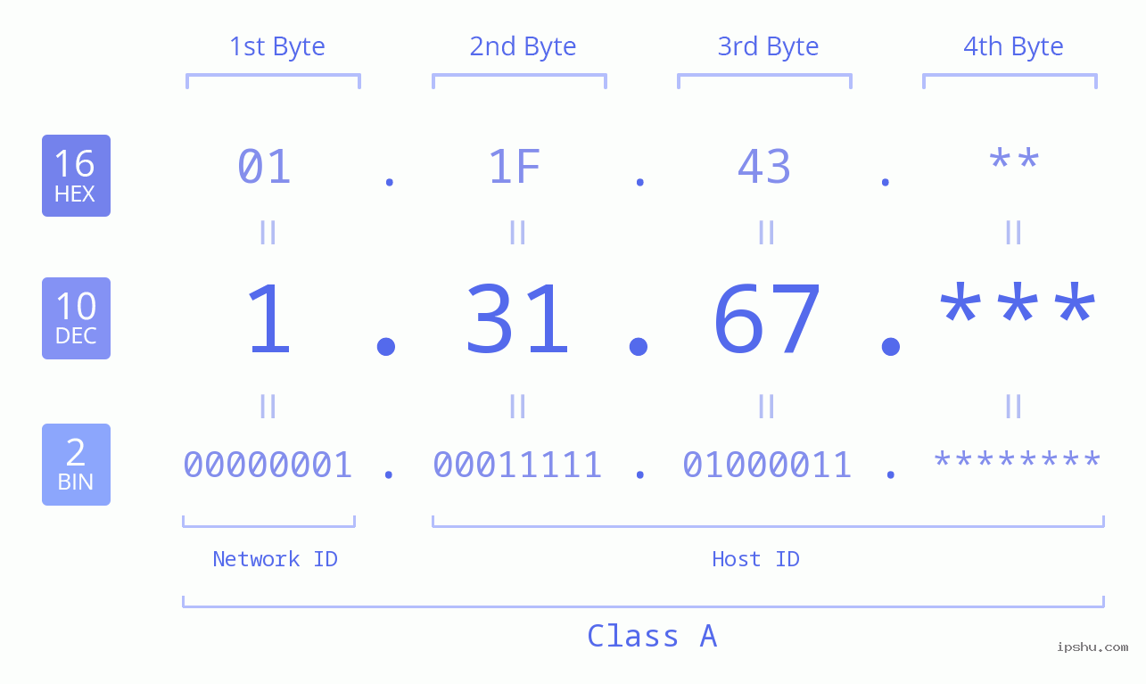 IP Address: 1.31.67 Data Structure Chart BIN DEC HEX IPv4: 1.31.67 Network Class, Net ID, Host ID