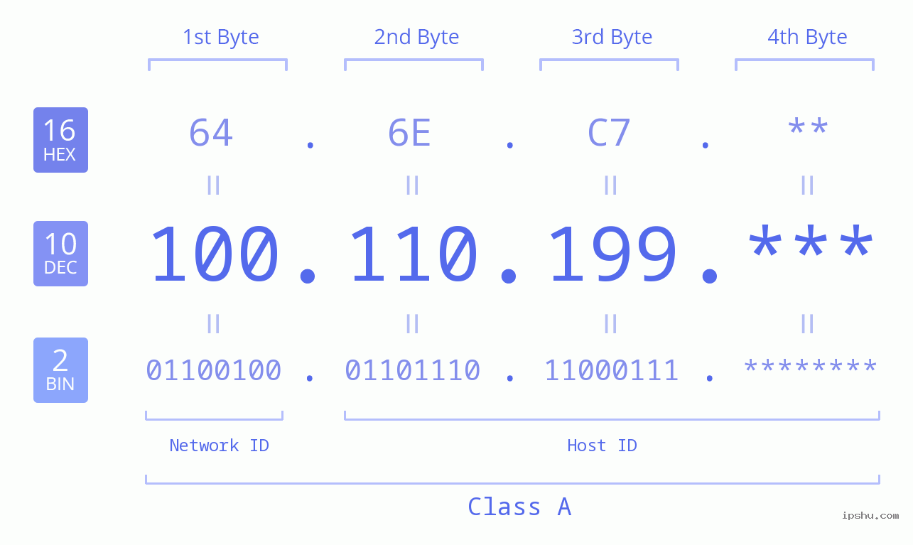 IP Address: 100.110.199 Data Structure Chart BIN DEC HEX IPv4: 100.110.199 Network Class, Net ID, Host ID