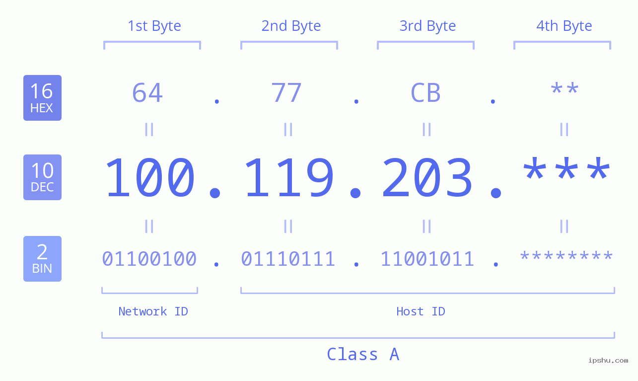 IP Address: 100.119.203 Data Structure Chart BIN DEC HEX IPv4: 100.119.203 Network Class, Net ID, Host ID