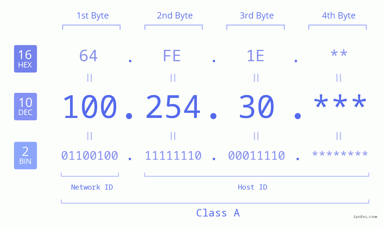 IP Address: 100.254.30 Data Structure Chart BIN DEC HEX IPv4: 100.254.30 Network Class, Net ID, Host ID