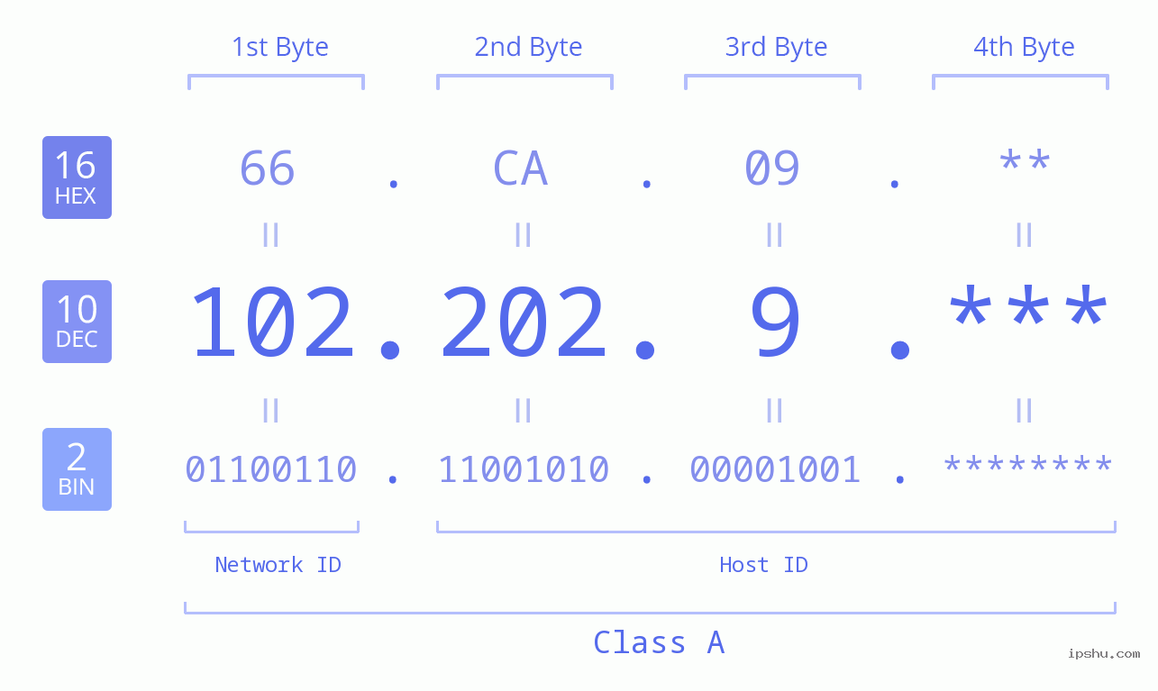 IP Address: 102.202.9 Data Structure Chart BIN DEC HEX IPv4: 102.202.9 Network Class, Net ID, Host ID