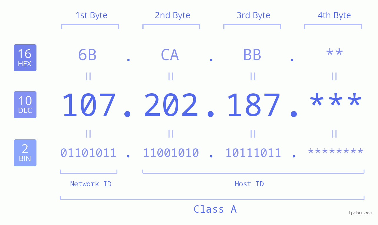 IP Address: 107.202.187 Data Structure Chart BIN DEC HEX IPv4: 107.202.187 Network Class, Net ID, Host ID