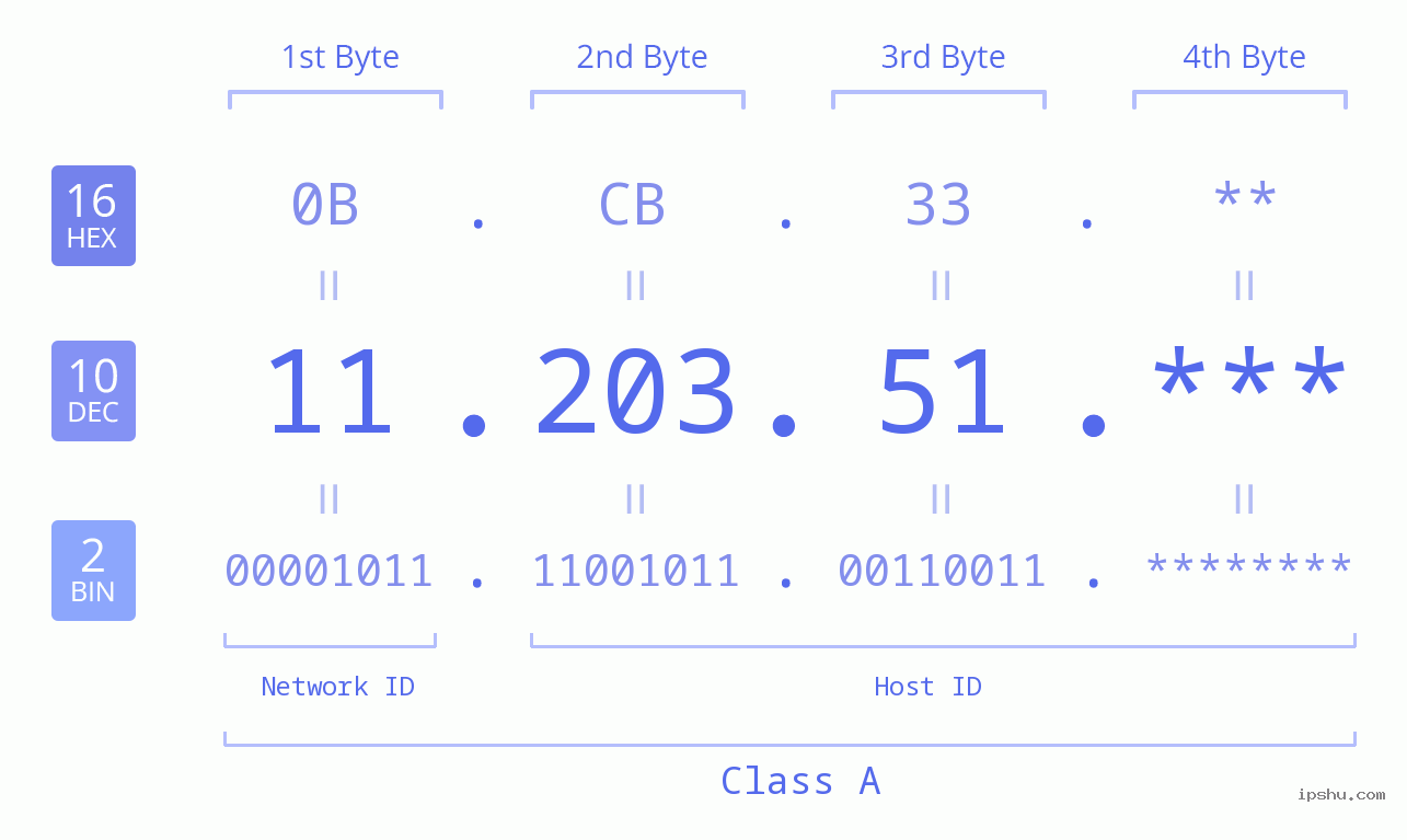 IP Address: 11.203.51 Data Structure Chart BIN DEC HEX IPv4: 11.203.51 Network Class, Net ID, Host ID