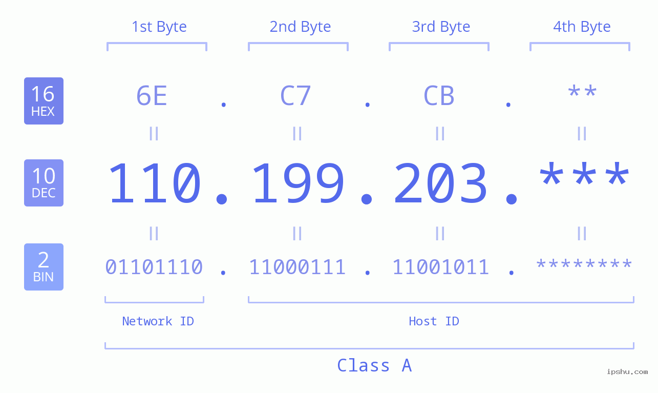 IP Address: 110.199.203 Data Structure Chart BIN DEC HEX IPv4: 110.199.203 Network Class, Net ID, Host ID
