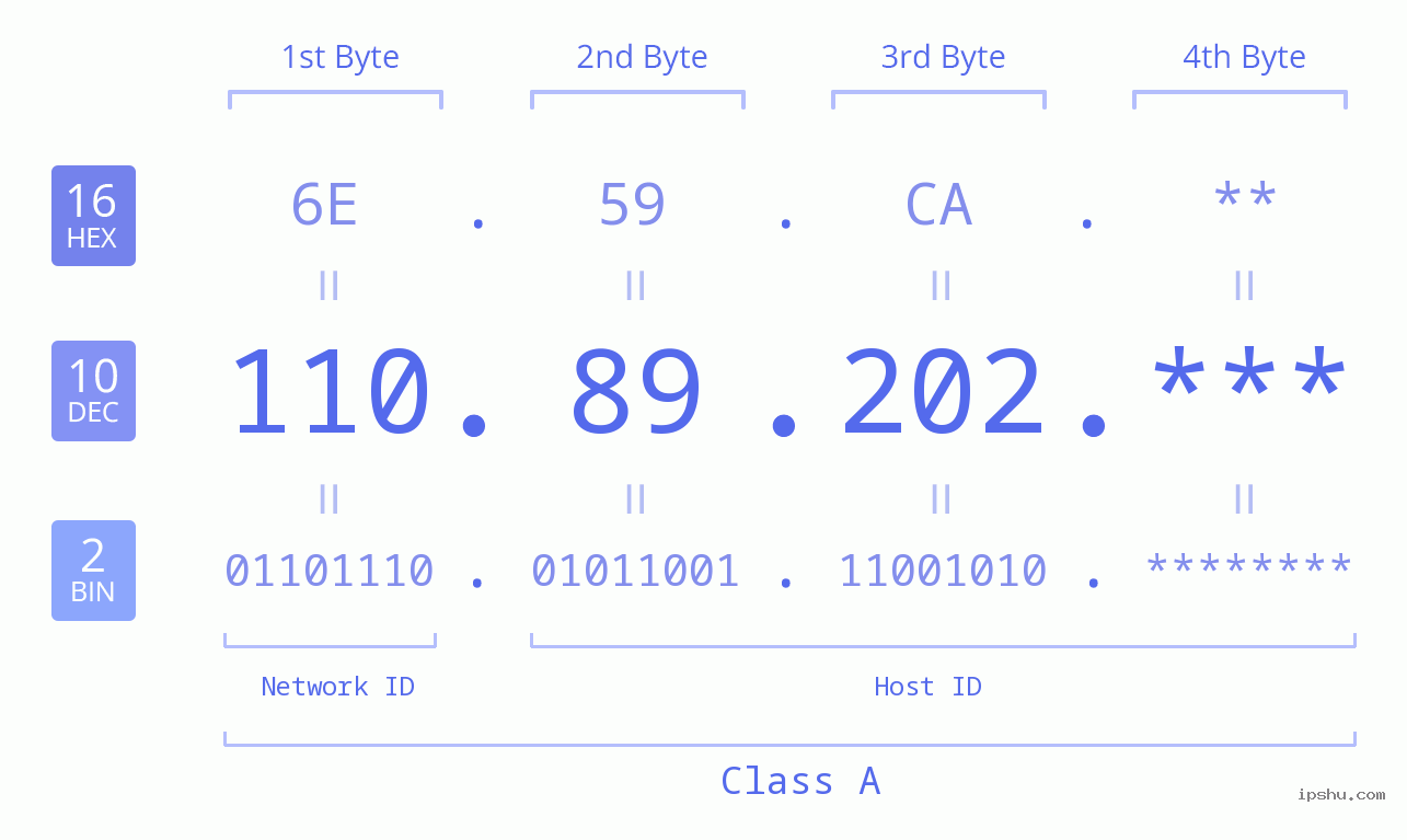 IP Address: 110.89.202 Data Structure Chart BIN DEC HEX IPv4: 110.89.202 Network Class, Net ID, Host ID