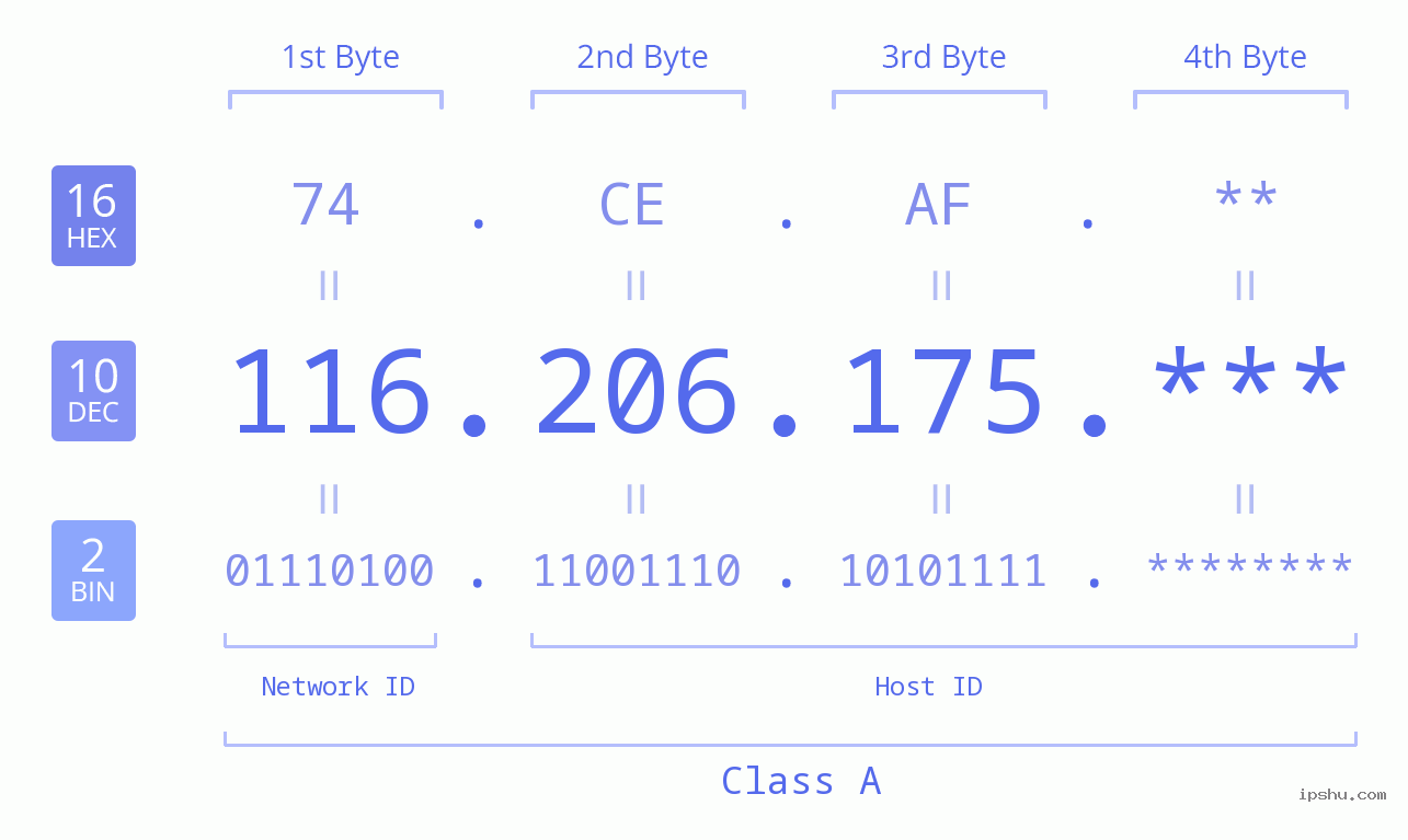 IP Address: 116.206.175 Data Structure Chart BIN DEC HEX IPv4: 116.206.175 Network Class, Net ID, Host ID