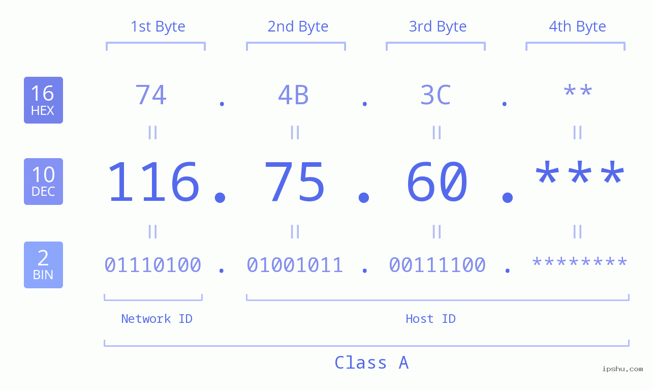 IP Address: 116.75.60 Data Structure Chart BIN DEC HEX IPv4: 116.75.60 Network Class, Net ID, Host ID