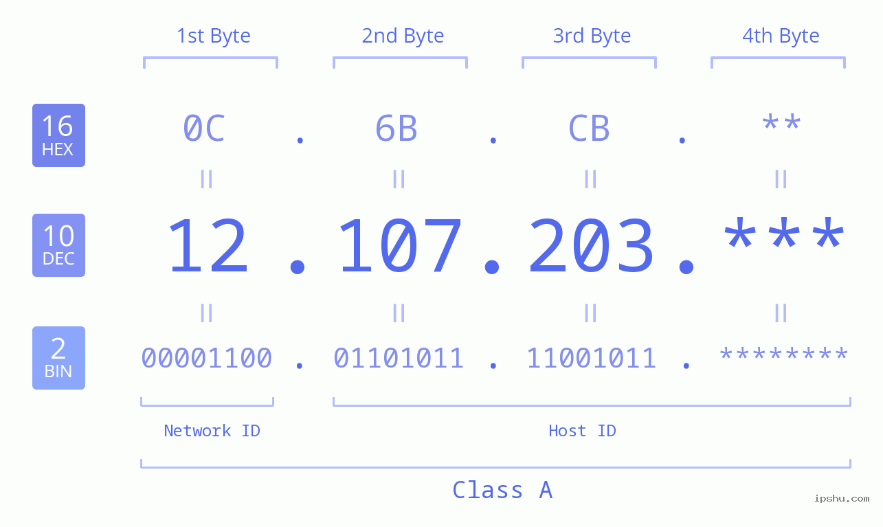 IP Address: 12.107.203 Data Structure Chart BIN DEC HEX IPv4: 12.107.203 Network Class, Net ID, Host ID