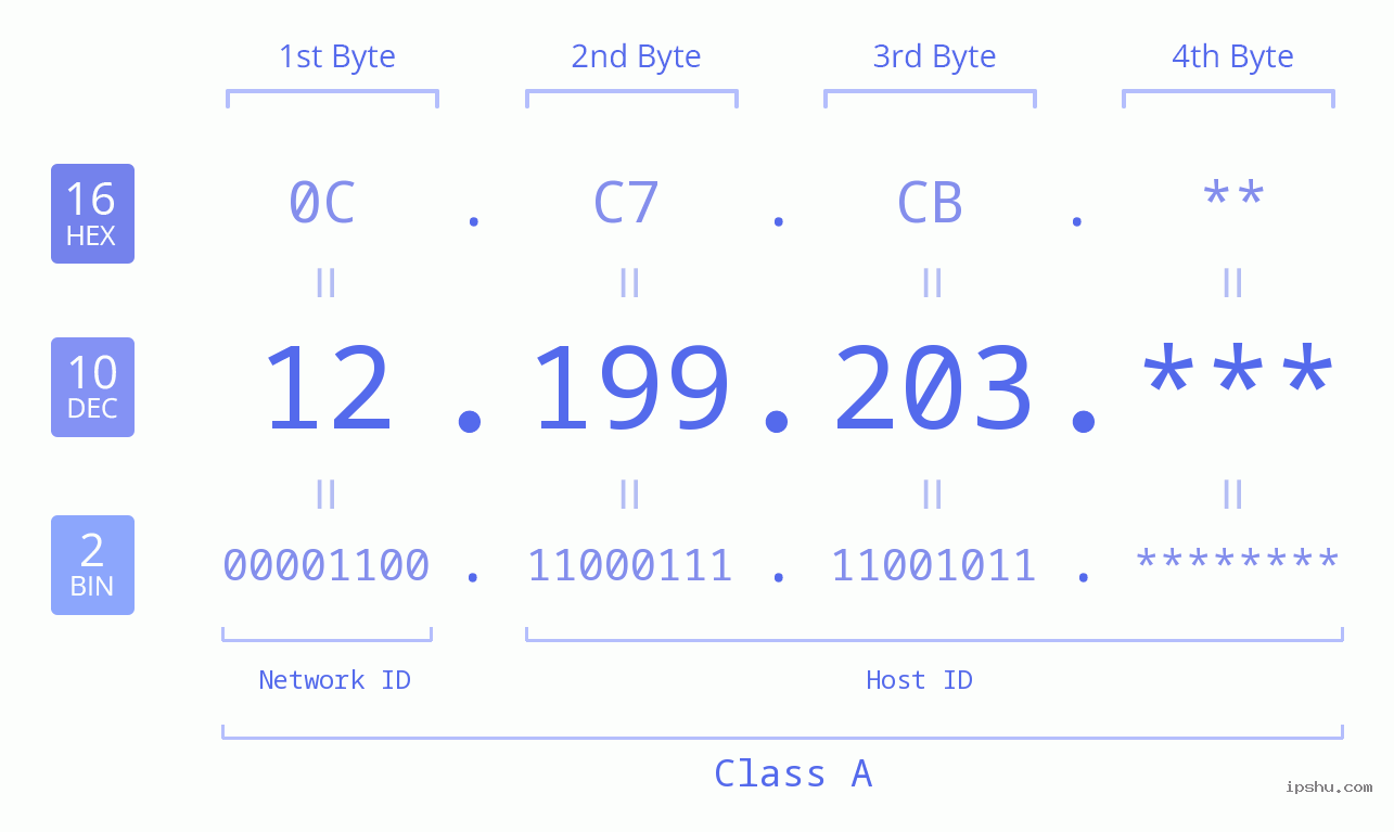 IP Address: 12.199.203 Data Structure Chart BIN DEC HEX IPv4: 12.199.203 Network Class, Net ID, Host ID