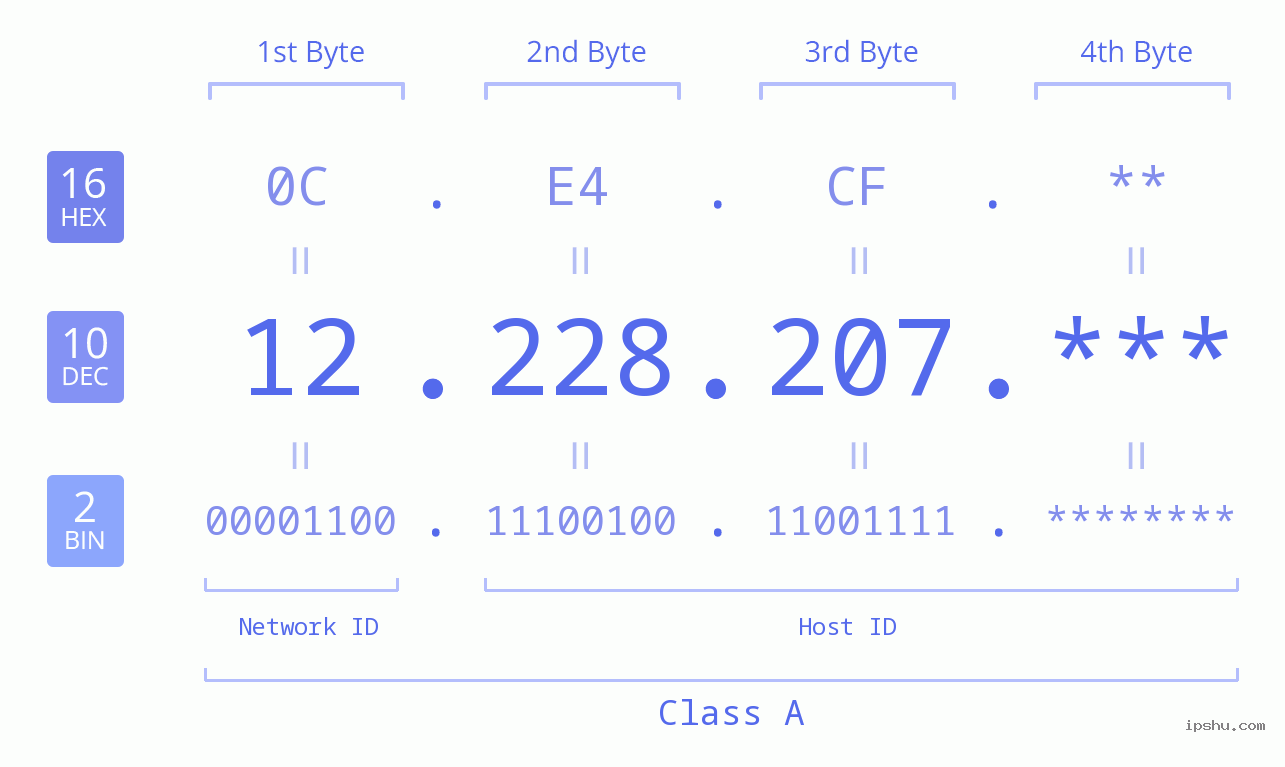 IP Address: 12.228.207 Data Structure Chart BIN DEC HEX IPv4: 12.228.207 Network Class, Net ID, Host ID