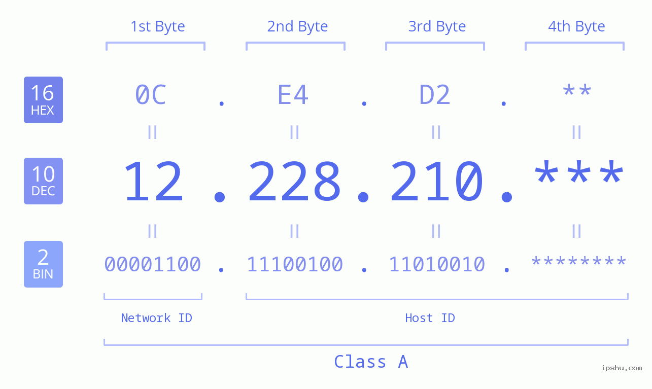 IP Address: 12.228.210 Data Structure Chart BIN DEC HEX IPv4: 12.228.210 Network Class, Net ID, Host ID