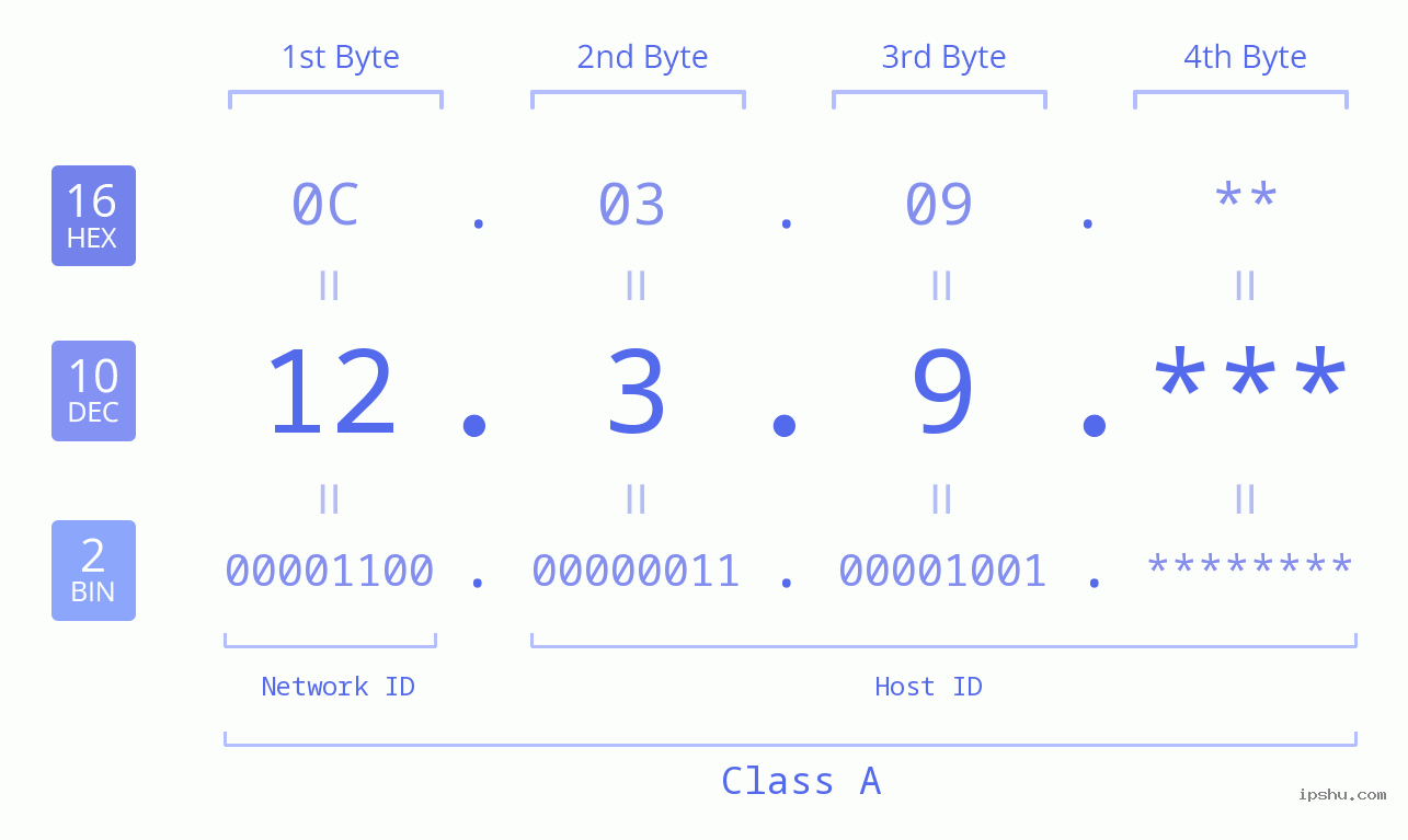 IP Address: 12.3.9 Data Structure Chart BIN DEC HEX IPv4: 12.3.9 Network Class, Net ID, Host ID