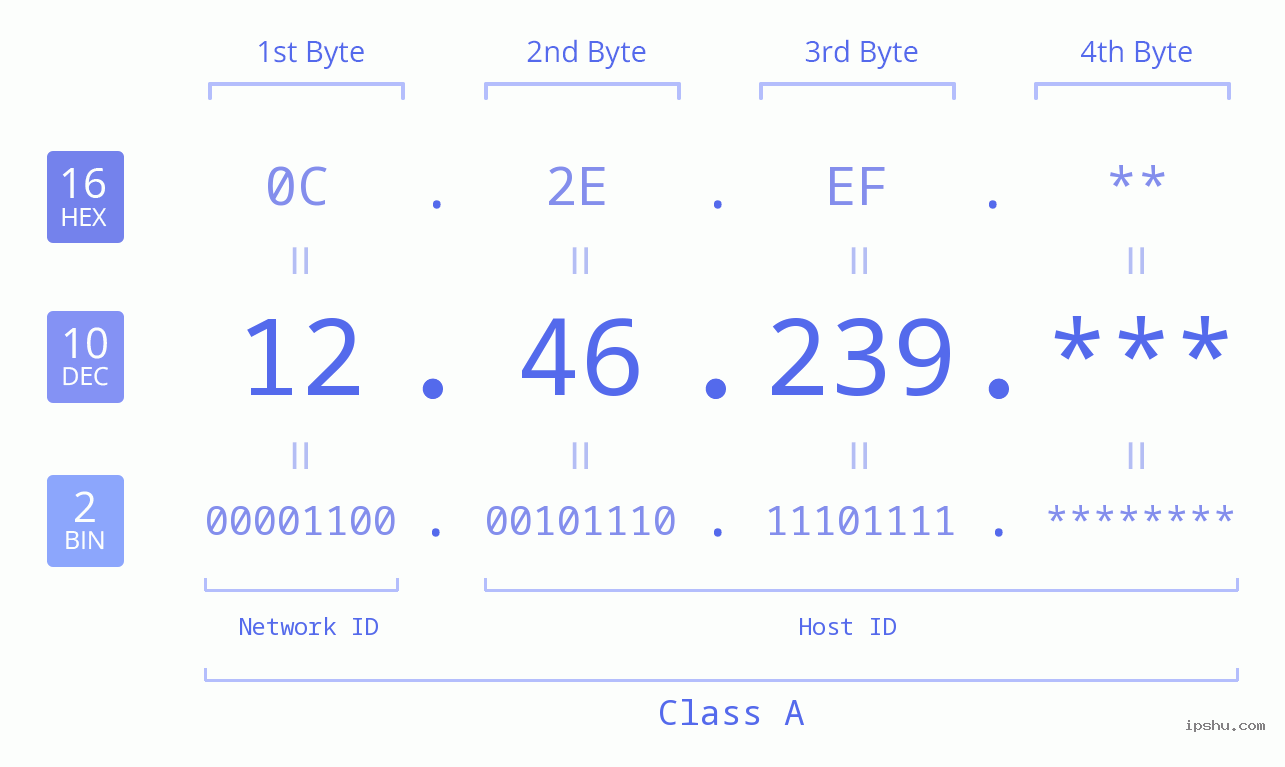 IP Address: 12.46.239 Data Structure Chart BIN DEC HEX IPv4: 12.46.239 Network Class, Net ID, Host ID