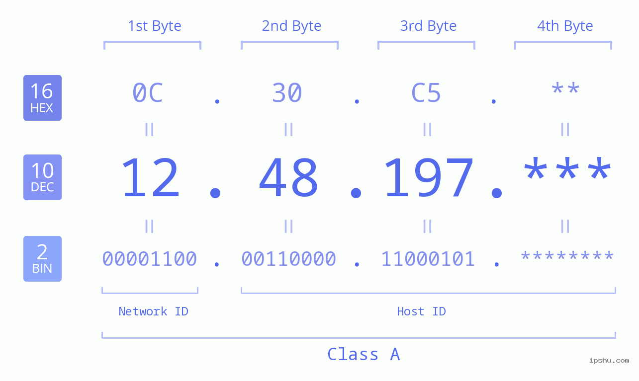 IP Address: 12.48.197 Data Structure Chart BIN DEC HEX IPv4: 12.48.197 Network Class, Net ID, Host ID