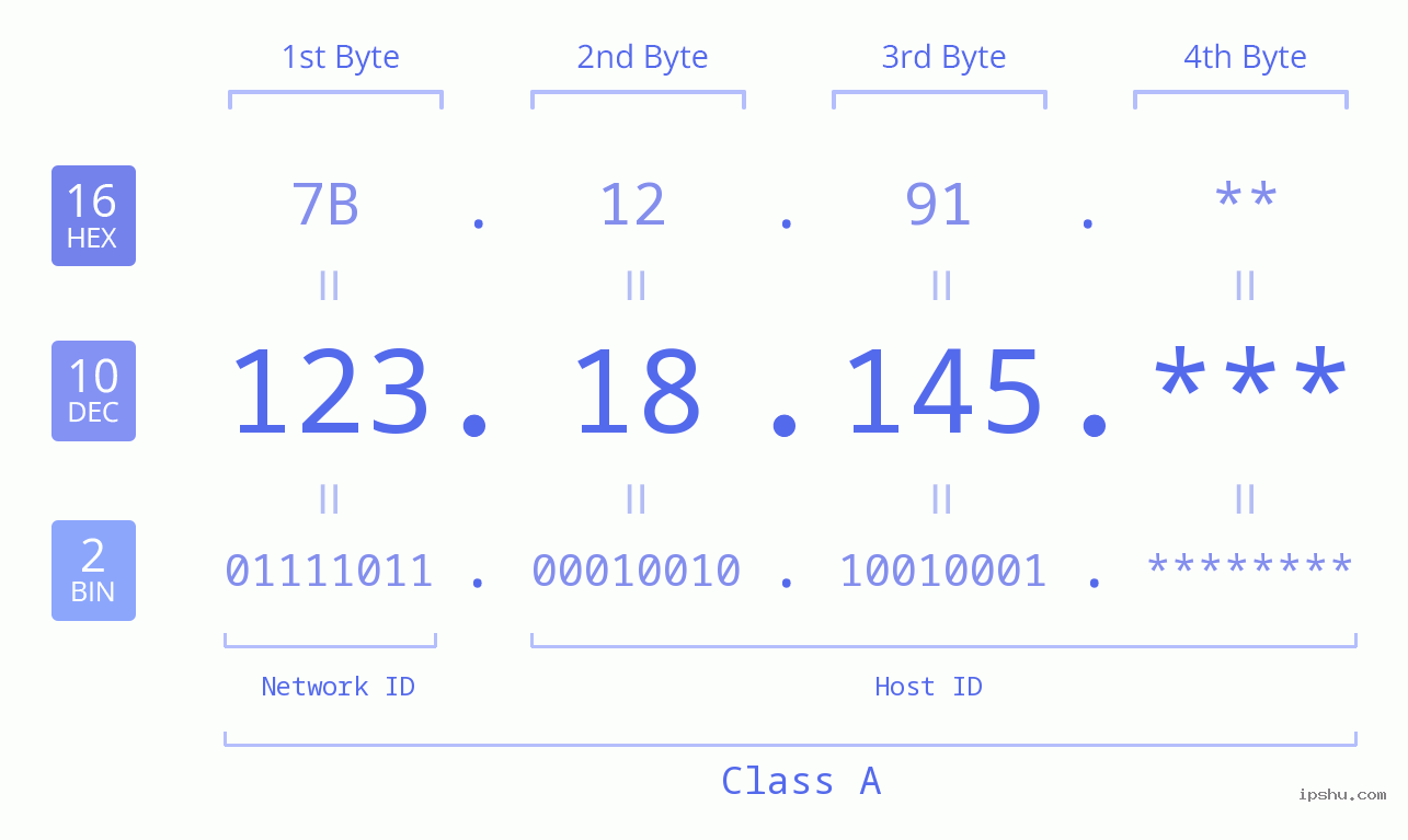 IP Address: 123.18.145 Data Structure Chart BIN DEC HEX IPv4: 123.18.145 Network Class, Net ID, Host ID