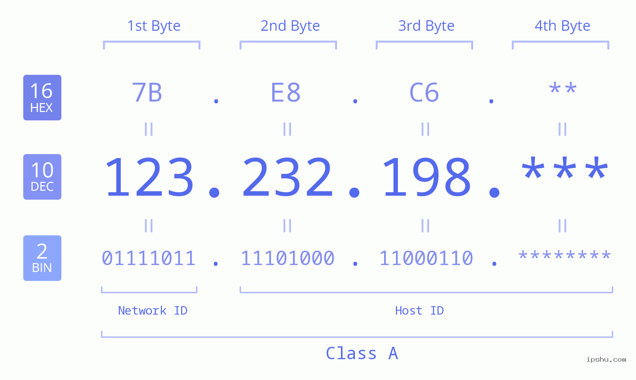 IP Address: 123.232.198 Data Structure Chart BIN DEC HEX IPv4: 123.232.198 Network Class, Net ID, Host ID