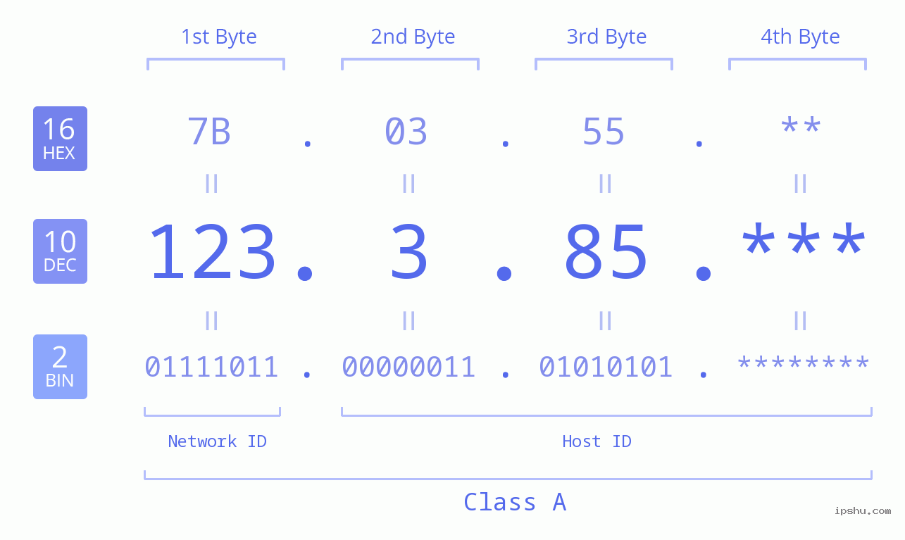 IP Address: 123.3.85 Data Structure Chart BIN DEC HEX IPv4: 123.3.85 Network Class, Net ID, Host ID