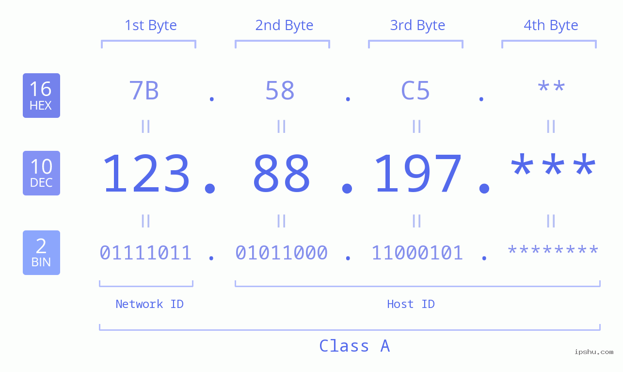 IP Address: 123.88.197 Data Structure Chart BIN DEC HEX IPv4: 123.88.197 Network Class, Net ID, Host ID