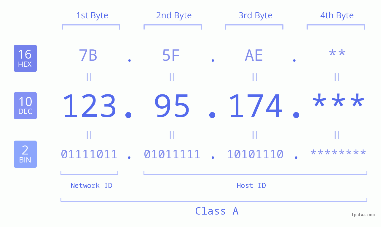 IP Address: 123.95.174 Data Structure Chart BIN DEC HEX IPv4: 123.95.174 Network Class, Net ID, Host ID