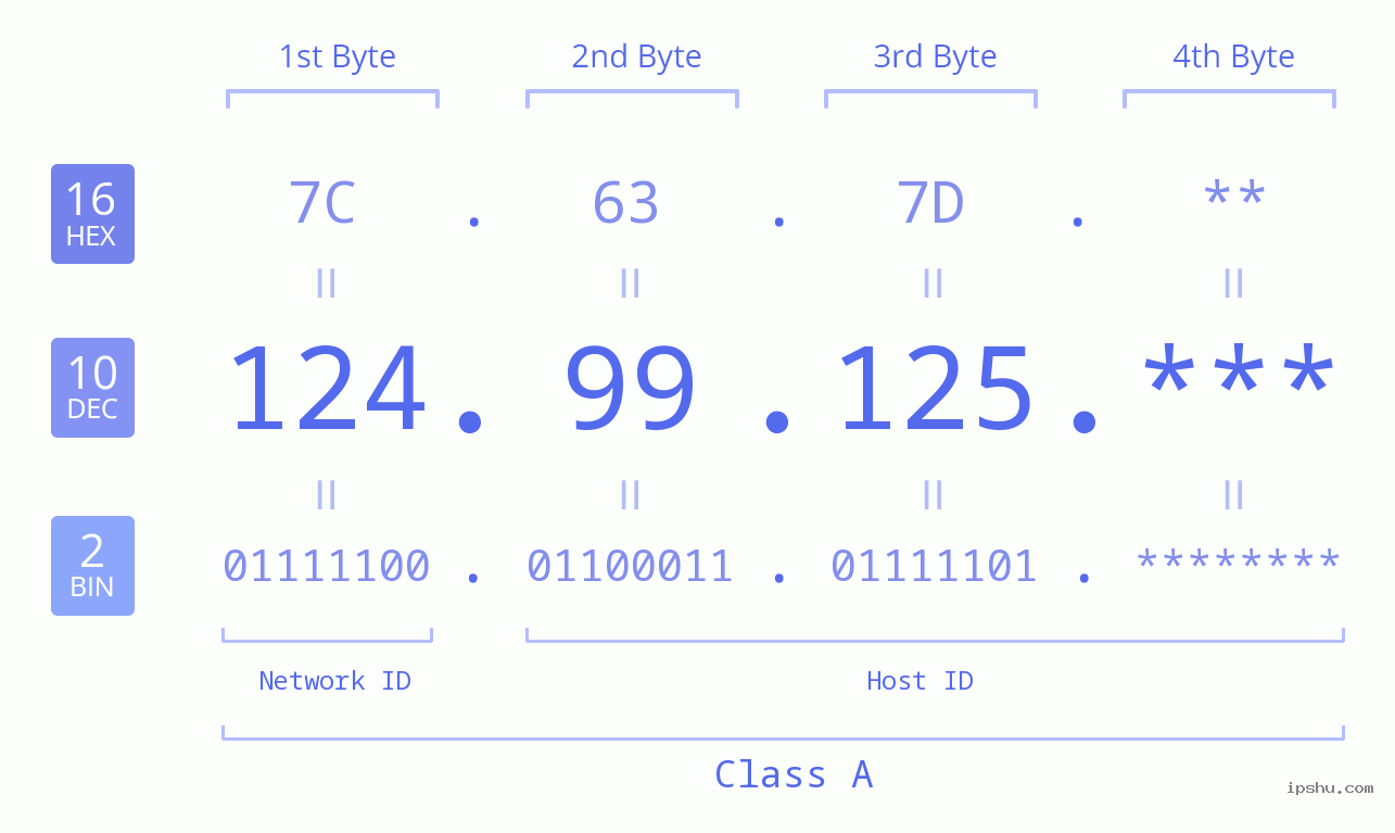 IP Address: 124.99.125 Data Structure Chart BIN DEC HEX IPv4: 124.99.125 Network Class, Net ID, Host ID