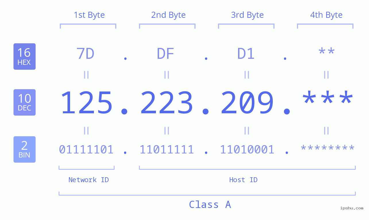 IP Address: 125.223.209 Data Structure Chart BIN DEC HEX IPv4: 125.223.209 Network Class, Net ID, Host ID