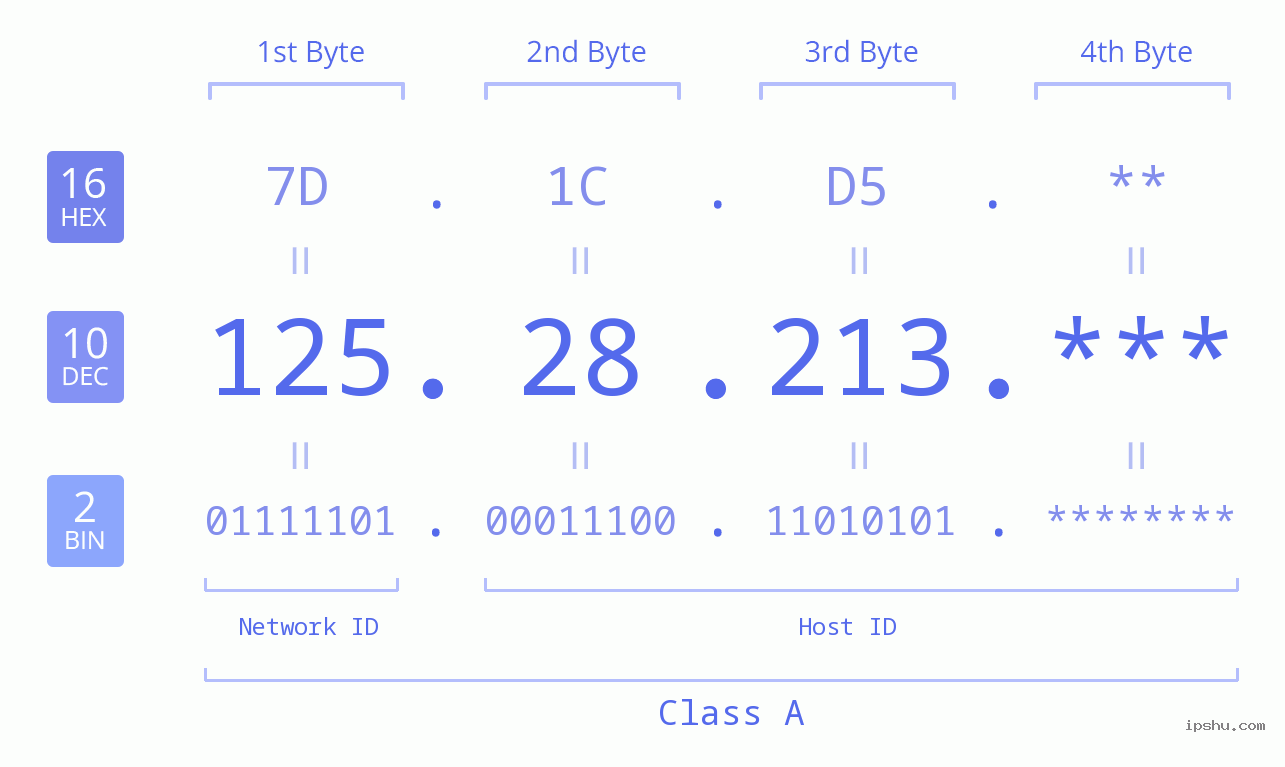 IP Address: 125.28.213 Data Structure Chart BIN DEC HEX IPv4: 125.28.213 Network Class, Net ID, Host ID