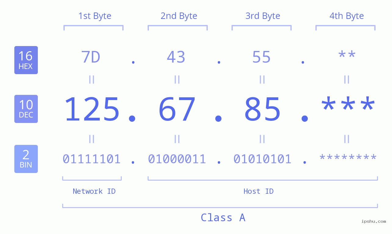 IP Address: 125.67.85 Data Structure Chart BIN DEC HEX IPv4: 125.67.85 Network Class, Net ID, Host ID