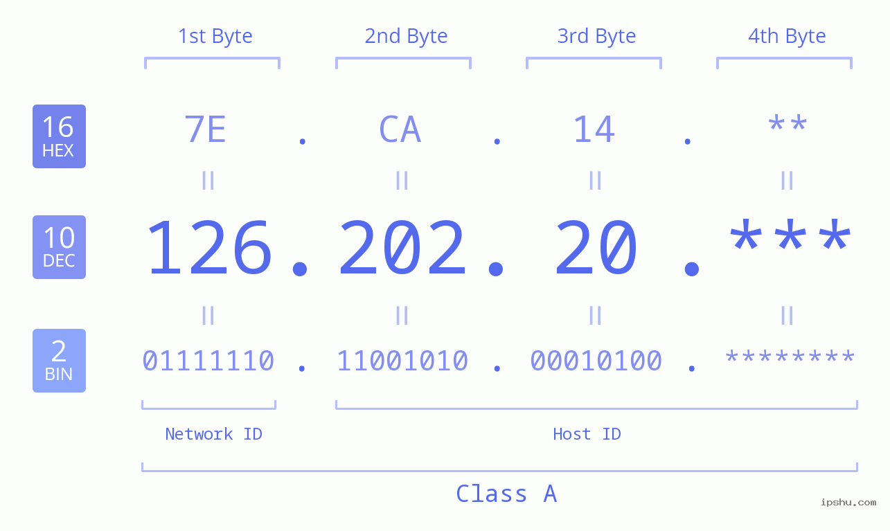IP Address: 126.202.20 Data Structure Chart BIN DEC HEX IPv4: 126.202.20 Network Class, Net ID, Host ID