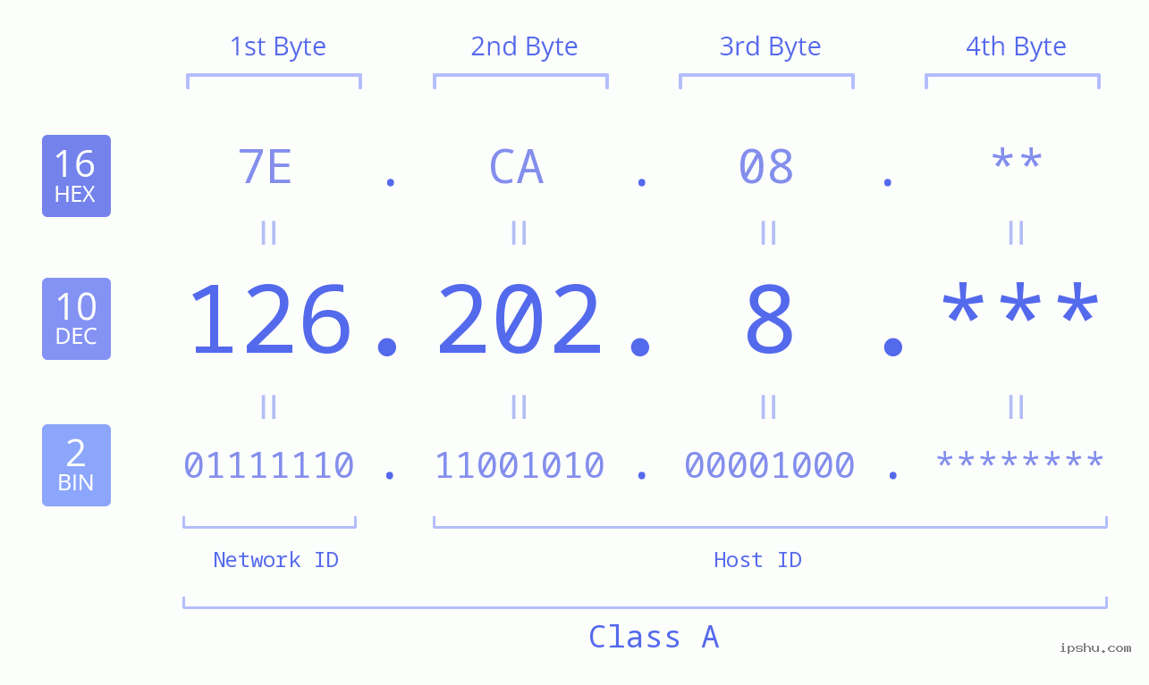 IP Address: 126.202.8 Data Structure Chart BIN DEC HEX IPv4: 126.202.8 Network Class, Net ID, Host ID