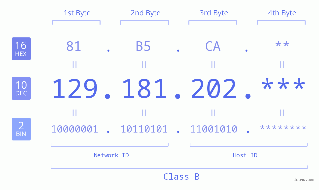 IP Address: 129.181.202 Data Structure Chart BIN DEC HEX IPv4: 129.181.202 Network Class, Net ID, Host ID