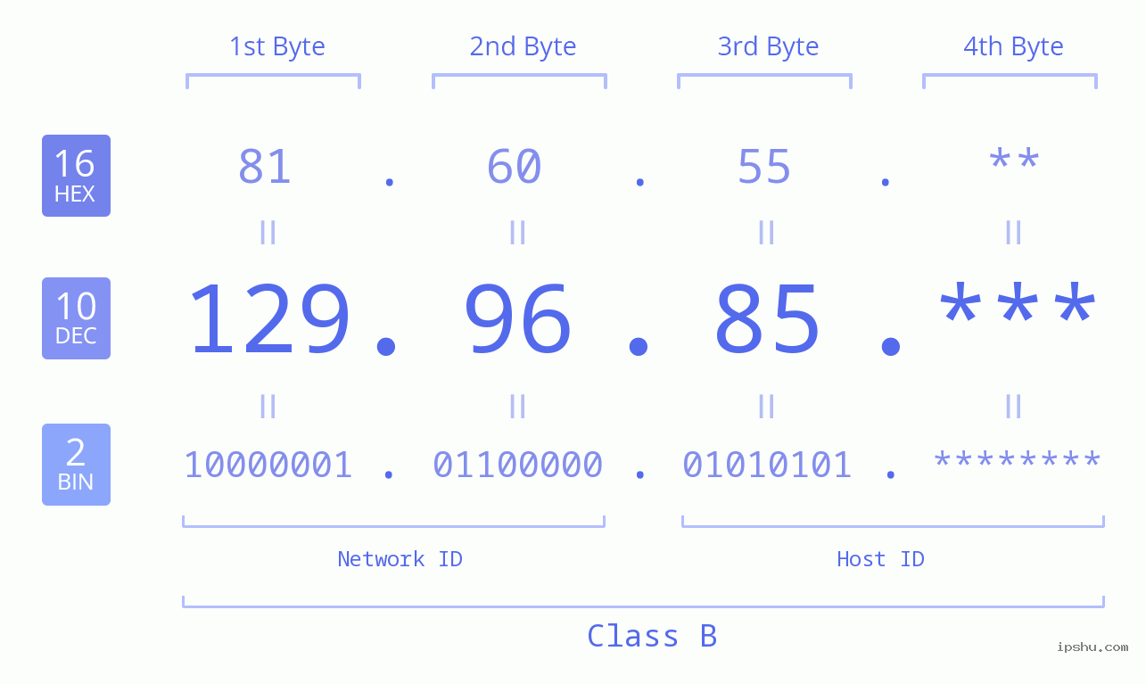 IP Address: 129.96.85 Data Structure Chart BIN DEC HEX IPv4: 129.96.85 Network Class, Net ID, Host ID