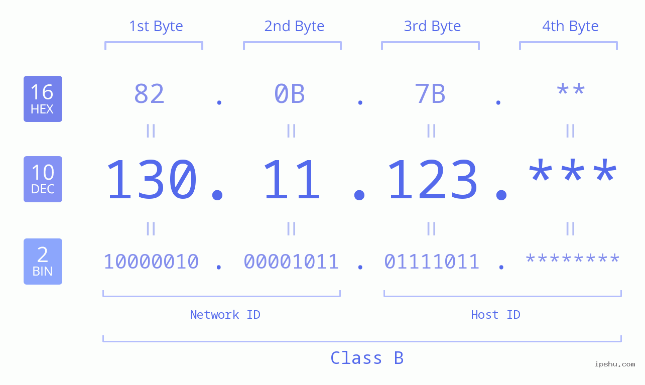 IP Address: 130.11.123 Data Structure Chart BIN DEC HEX IPv4: 130.11.123 Network Class, Net ID, Host ID