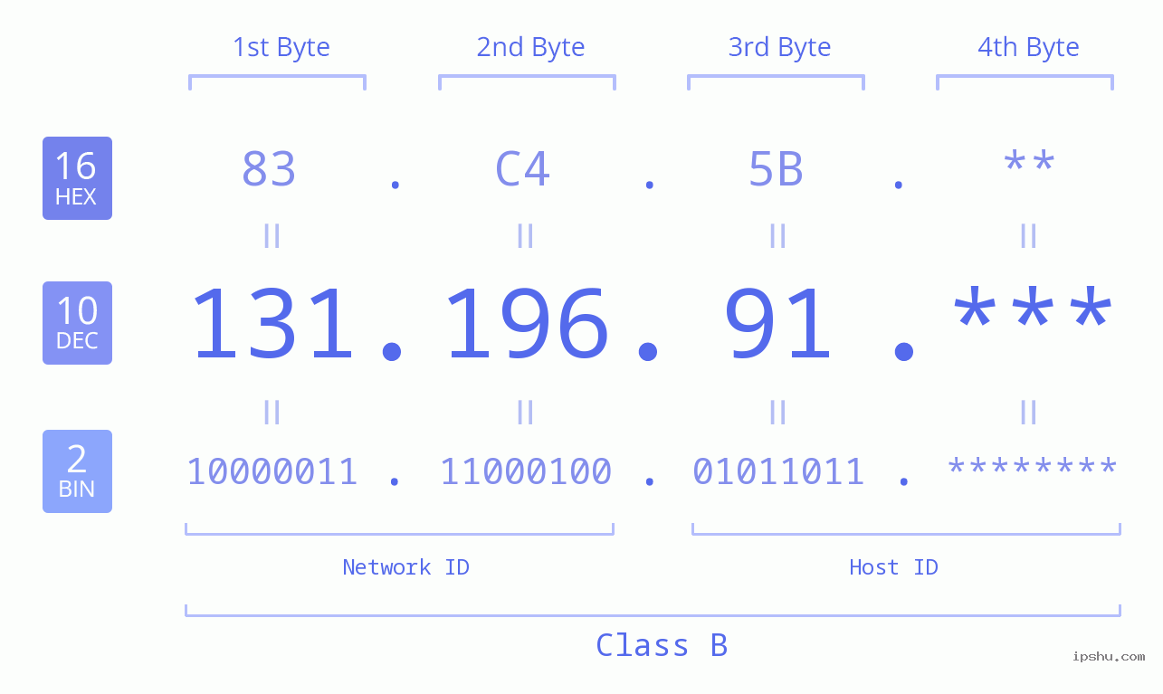 IP Address: 131.196.91 Data Structure Chart BIN DEC HEX IPv4: 131.196.91 Network Class, Net ID, Host ID