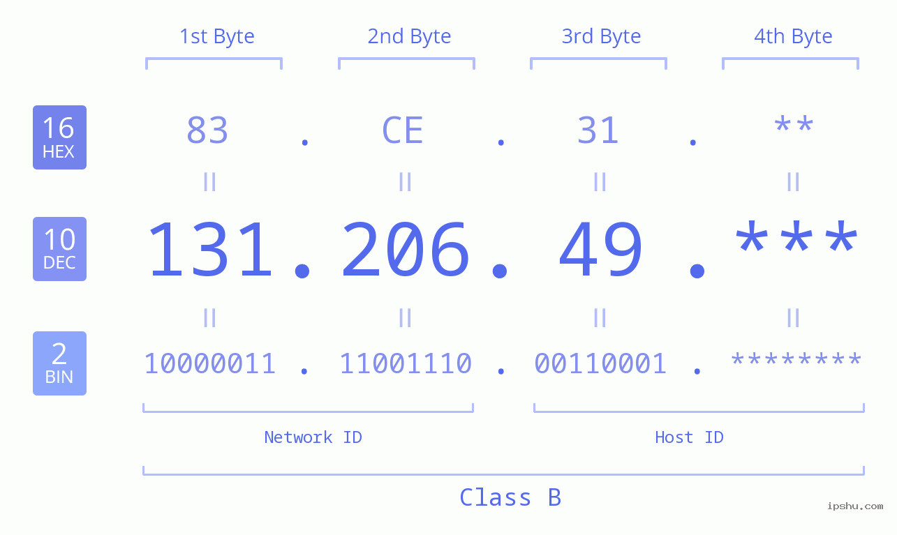 IP Address: 131.206.49 Data Structure Chart BIN DEC HEX IPv4: 131.206.49 Network Class, Net ID, Host ID